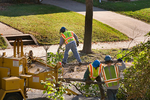 Best Stump Grinding and Removal  in Susquehanna Trails, PA