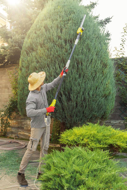 Lawn Watering Services in Susquehanna Trails, PA